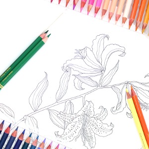 72색, 120색, 180색 유성 컬러 색연필 세트